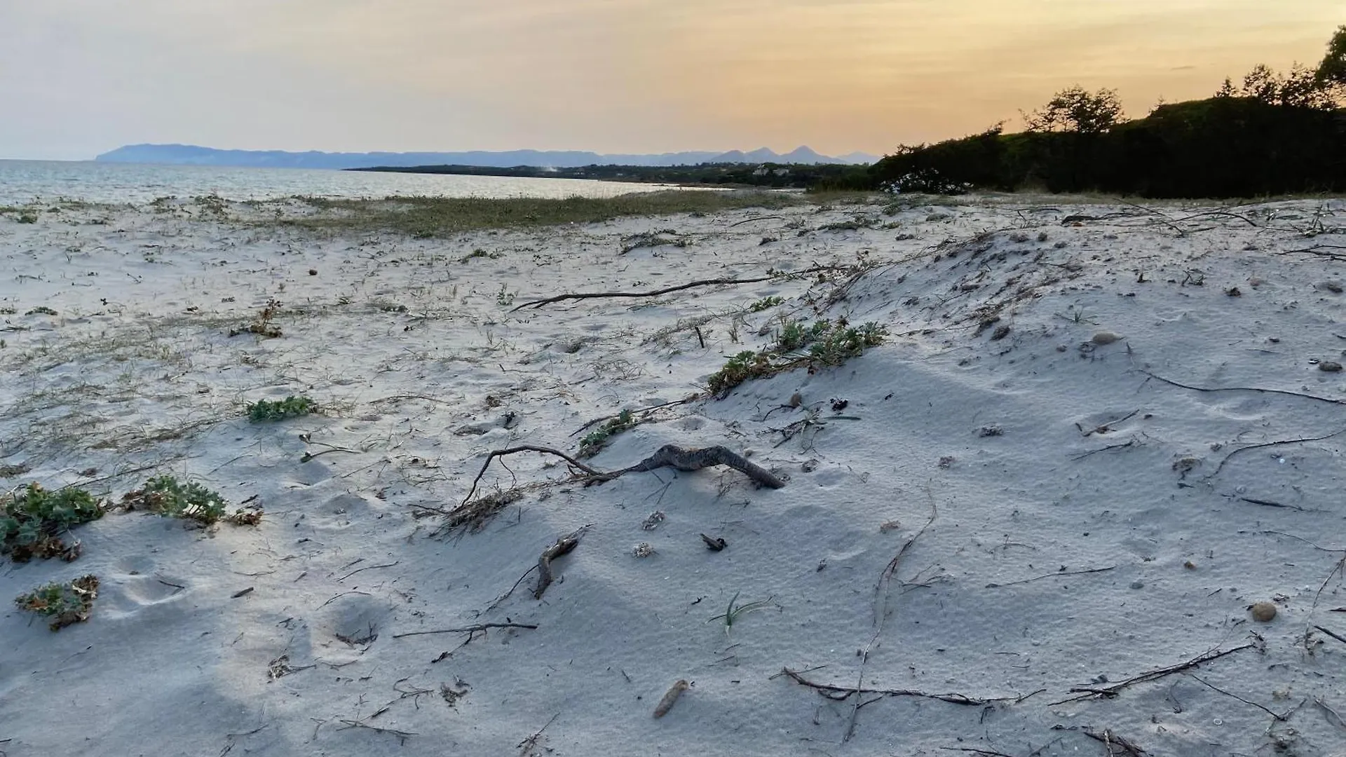 Massetti Rooms Alloggio Per Coppie Sulla Costa Nord Est Dell Isola A Pochi Passi Dalla Spiaggia La Caletta Ιταλία